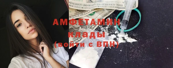 амф Краснослободск
